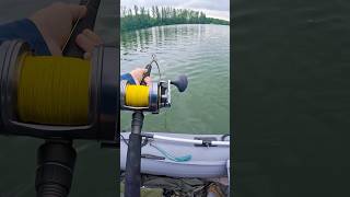 🎣👌🏻🔥Catch More Catfish Live Bait TacticsThat Work fishing bigcatfish catfish catfishing [upl. by Berte]