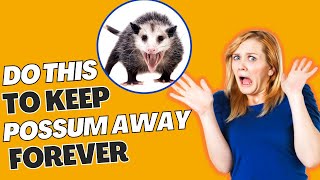 How To Scare Possums Away From Your House Easiest Ways [upl. by Dnomsaj]