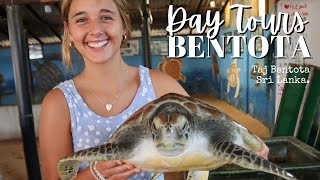 Day Tours amp Things to do in Bentota The Taj Resort Bentota  SRI LANKA [upl. by Sonahpets]