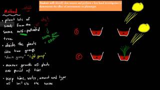 12 Environment and phenotype experiment HSC biology [upl. by Alexandre]