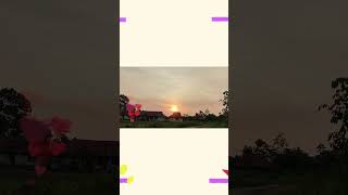 So sweet sunset timelapse [upl. by Charteris]