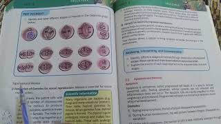 Significance of Meiosis Biology Grade 9 Unit 5 Cell Cycle KPK Textbook Syllabus [upl. by Rorie]