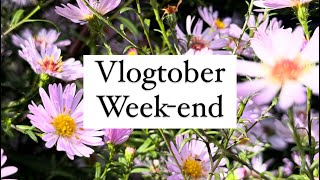 Vlogtober weekend  456 vlogtober vlogtober2024 [upl. by Valerle]