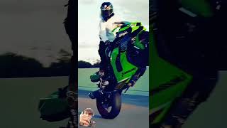 kawasaki Zx10rr duke390 Kawasaki ktmduke 250😎 [upl. by Eserahs]