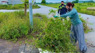 Transforming Sidewalks Clearing Weeds for a Cleaner Community  Clear Up BN99 [upl. by Mack]