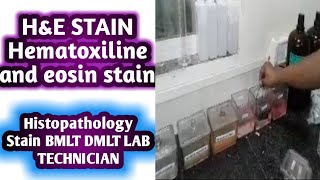 Hematoxylin and eosin stain  H and E stain  Histopathology stain [upl. by Akimal]