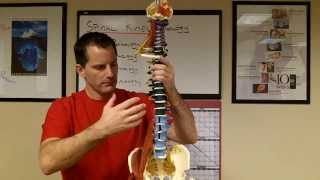 Weekly Video  Vertebral Subluxation Complex [upl. by Dent695]