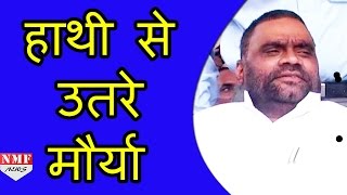 Swami Prasad Maurya ने छोड़ी हाथी की सवारी। [upl. by Urien85]