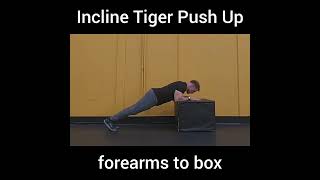 Incline Tiger Push Up Box [upl. by Fruma]