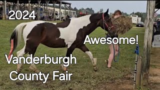 Vanderburgh County Fair 2024 Evansville Indiana countyfair [upl. by Yrollam]