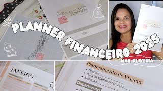 MEU PLANNER FINANCEIRO 2025 anual e mensal • Mostrando os detalhes ✨💰 [upl. by Irok]