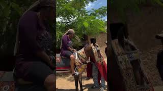 IBRAHIM CHATTA TEACHING IYABO OJO HOW TO RIDE A HORSE [upl. by Thomasina]