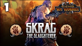 THE SLAUGHTERER RISES Total War Warhammer 3  Skrag the Slaughterer  Ogre Kingdoms Campaign 1 [upl. by Aveneg]