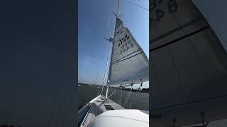 Continuous pro  furlingboom mainsail xyachts shorts [upl. by Beller]