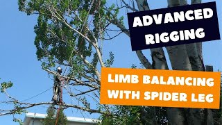 Spider leg rigging  Tree rigging techniques [upl. by Aziram]