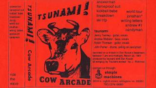 Tsunami  Cow Arcade 1991  demo cassette Simple Machines [upl. by Micheil]