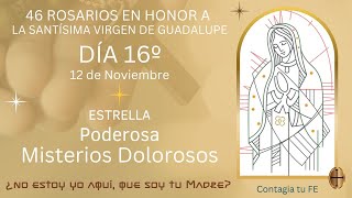 12 de Noviembre 2024 Santo Rosario Misterios Dolorosos [upl. by Persse197]