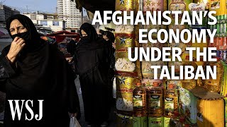 Afghanistan’s Fall Into Extreme Poverty Explained  WSJ [upl. by Esilana]