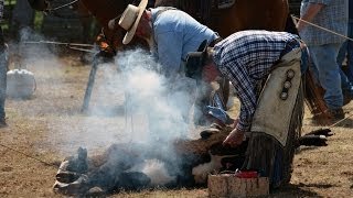 Cattle Branding [upl. by Pincas905]