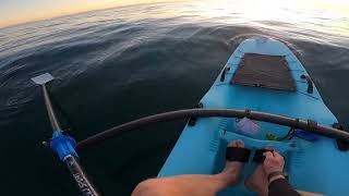 Coastal Rowing 31 July 2023 at Mullaloo Beach Western Australia [upl. by Rather]