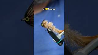 Game Changer Fly Pattern [upl. by Gnik]