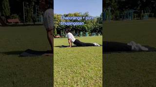 Chaturanga four limbs  chaturfourAngalimbs dandastaff ❤️🧘 [upl. by Ceevah]