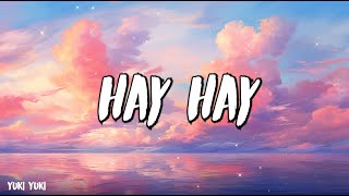 Hadise  Hay Hay  Şarkı sözü  Lyrics [upl. by Qifar28]