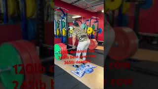 3 exercise for back thickness back backday backworkout results gym motivation sports nolimit [upl. by Ogait]