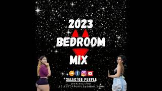 2023 Bedroom Mix Raw Ft Dexta Daps  Vybz Kartel  Teejay by Selector Purple [upl. by Haneeja]