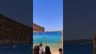 Greece Halkidiki Ammouliani islandbeach seagulls 💦🏝️💙 beach sea seagulls [upl. by Rafferty]