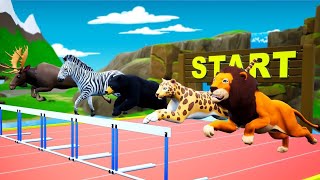 ANIMALS HURDLES RUNNING RACE Animals Speed Hurdle Racing AnimalsVideos funny3danimal [upl. by Aihsoj354]