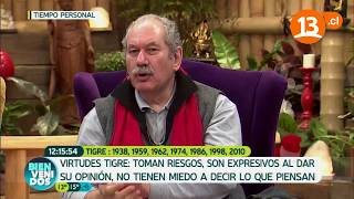 Horóscopo chino Virtudes y defectos de TIGRE  Pedro Engel [upl. by Calan936]