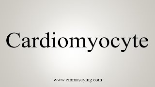 How To Say Cardiomyocyte [upl. by Angie]