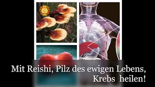 Reishi der Pilz des ewigen Lebens Wirksam auch bei Krebs [upl. by Potter765]