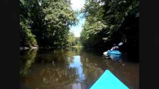 Scenes from a kayak on the Rondout Creek [upl. by Spencer]