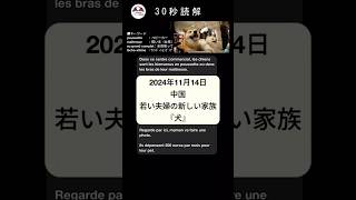 【フランス語】30秒読解 若い夫婦の新しい家族 犬 フランス語 フランス語勉強 フランス語学習 フランス語リスニング フランス語聞き流し フランス語読解 [upl. by Wisnicki]