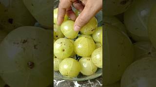 Benefits of Amla shorts amla recipe [upl. by Disraeli]