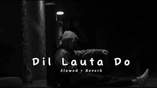 Dil Lauta Do  Mera Chale Jayenge Slowed And Reverbnew song jubin nautiyalslowed and reverb [upl. by Ettelocin71]