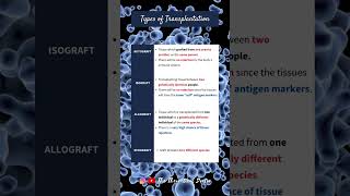 Types of Transplantation Autograft Isograft Allograft amp Xenograft PreU Biology shorts short [upl. by Anelas]