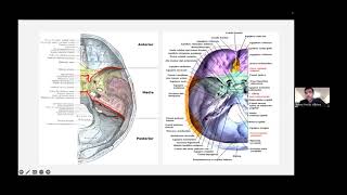 Base de craneo [upl. by Raddy107]