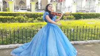 Lavander Blue Dilly Dilly  Alexa Nicole  Violin Cover [upl. by Accalia]