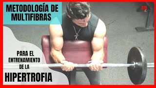 ENTRENAMIENTO DE MULTIFIBRAS PARA LA HIPERTROFIA MUSCULAR [upl. by Jolynn]