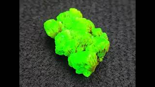 Lamellar Autunite Crystal  Fluorescent Uranium Ore 107 Grams [upl. by Nahsaj373]