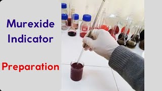 Preparation of Murexide indicator Ammonium purpurate indicator [upl. by Lleryd511]