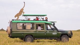 Photo Safaris with Chris Bray Photography [upl. by Drofiar]