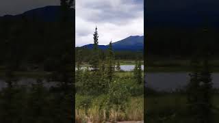 🤩Driving through Yukon🌿nature góry natura discover outdoors lake travel🍀mytrails shorts [upl. by Siskind]