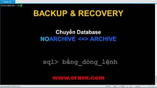 ORACLE BACKUPRECOVERY  Chuyển đổi qua lại giữa ARCHIVE LOG và NOARCHIVE LOG [upl. by Ahsilef]