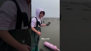 Razor clam digging in Washington clamdiggingrazorclamsfunforkids [upl. by Baldwin]