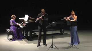 Friedrich Kuhlau Trio For Two Flutes and Piano Op119 [upl. by Olson]