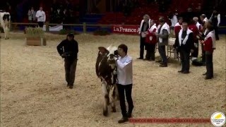 Trophée National des Lycées Agricoles  Replay du 0503 [upl. by Aretta561]